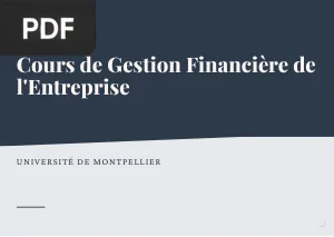 Cours de Gestion Financière de l'Entreprise