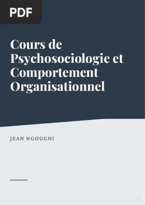 Cours de Psychosociologie et Comportement Organisationnel