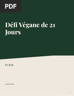 Défi Végane de 21 Jours