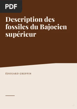 Description des fossiles du Bajocien supérieur