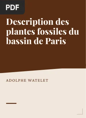 Description des plantes fossiles du bassin de Paris