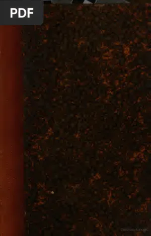 Dictionnaire étymologique des mots français dérivés de l'arabe du persan ou du turc