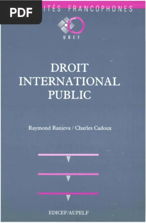 Droit International Public