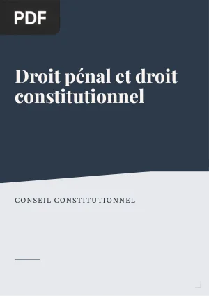 Droit pénal et droit constitutionnel