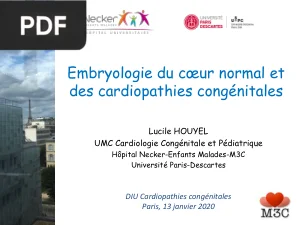 Embryologie du Coeur Normal et des Cardiopathies Congénitales