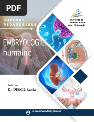Embryologie Humaine