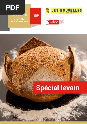 Encart Technique Spécial Levain