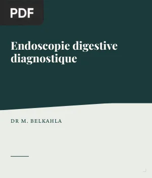 Endoscopie digestive diagnostique
