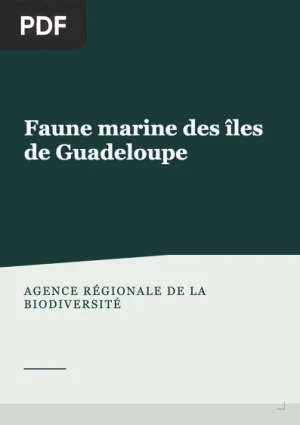 Faune marine des îles de Guadeloupe