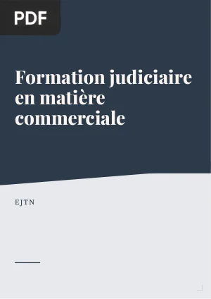 Formation judiciaire en matière commerciale