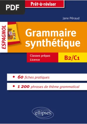 Grammaire synthetique de l'espagnol en 60 fiches