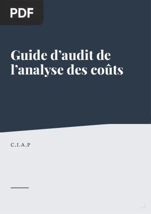 Guide D’Audit de L’Analyse des Coûts