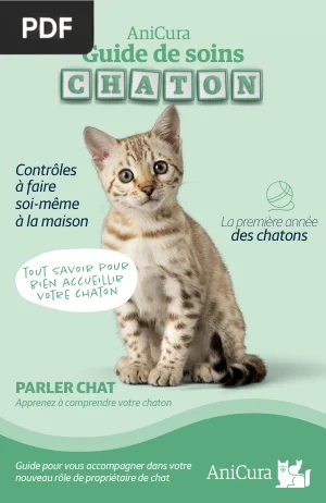 Guide de soins chaton