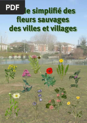 Guide des fleurs sauvages des villes et villages
