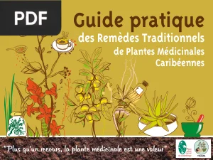 Guide Pratique des Remèdes Traditionnels de Plantes Médicinales Caribéennes