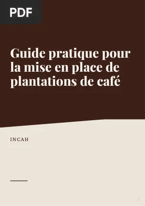 Guide pratique pour la mise en place de plantations de café