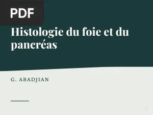Histologie du foie et du pancréas