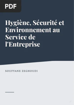 Hygiène, Sécurité et Environnement au Service de l'Entreprise