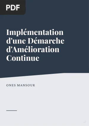 Implémentation d'une Démarche d'Amélioration Continue et Accompagnement du Changement