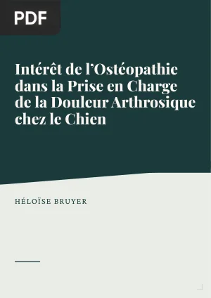 Intérêt de l'Ostéopathie dans la Prise en Charge de la Douleur Arthrosique chez le Chien