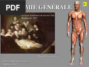 Introduction à l'Anatomie Générale