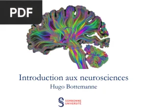 Introduction aux neurosciences