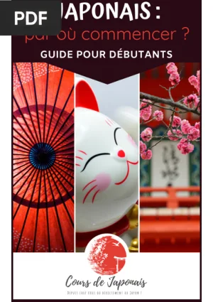 Japonais : par où commencer ?