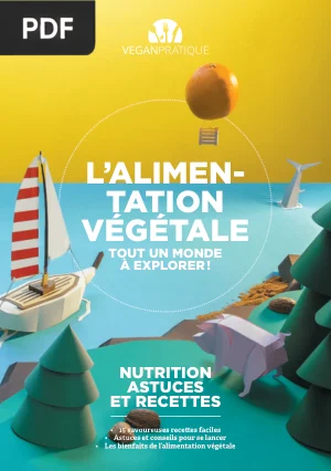 L'Alimentation Végétale : Nutrition, Astuces et Recettes