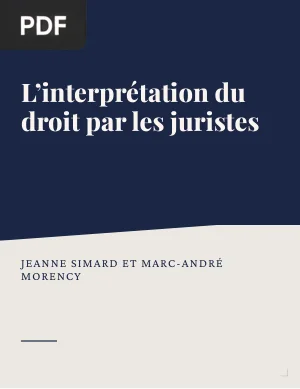 L'interprétation du droit par les juristes : la place de la délibération éthique