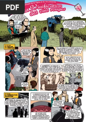 La BD de la vinification des vins rouges