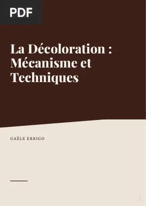 La Décoloration : Mécanisme, Produits et Techniques