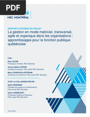 La Gestion Matricielle et Agile : Rapport de Synthèse