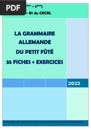 La Grammaire Allemande du Petit Fûté - 35 Fiches + Exercices