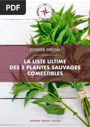 La liste ultime des 5 plantes sauvages comestibles