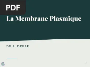 La Membrane Plasmique