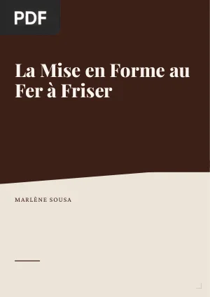 La Mise en Forme au Fer à Friser