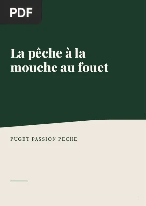 La pêche à la mouche au fouet