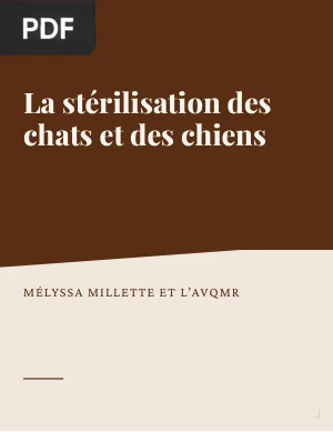 La stérilisation des chats et des chiens