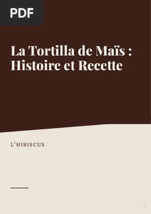 La Tortilla de maïs : histoire et recette