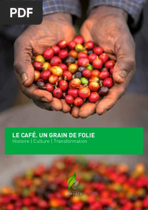 Le café. Un grain de folie