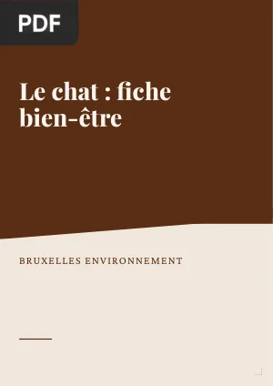 Le chat : fiche bien-être