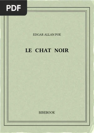 Le Chat Noir