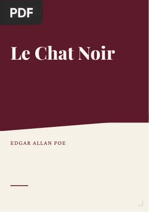 Le Chat noir