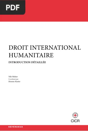 Le Droit International Humanitaire - Introduction Détaillée