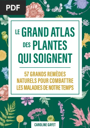 Le Grand Atlas des Plantes Qui Soignent