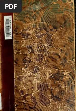 Le Tarot des Bohémiens