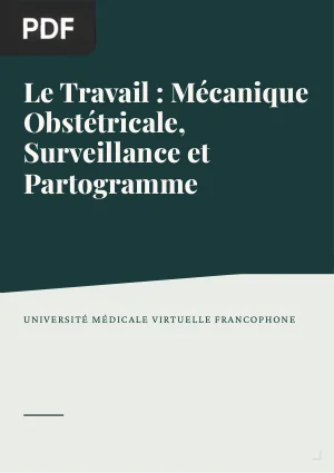 Le Travail : Mécanique Obstétricale, Surveillance et Partogramme