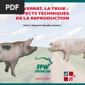 Le verrat, la truie : aspects techniques de la reproduction