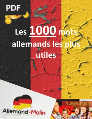 Les 1000 Mots Allemands les Plus Utiles