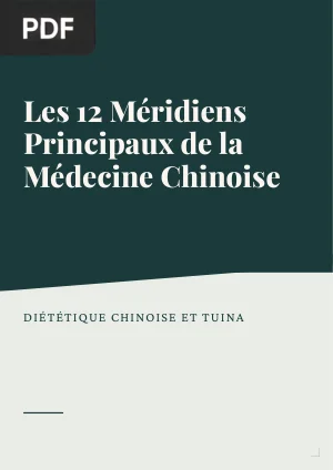 Les 12 Méridiens Principaux de la Médecine Chinoise